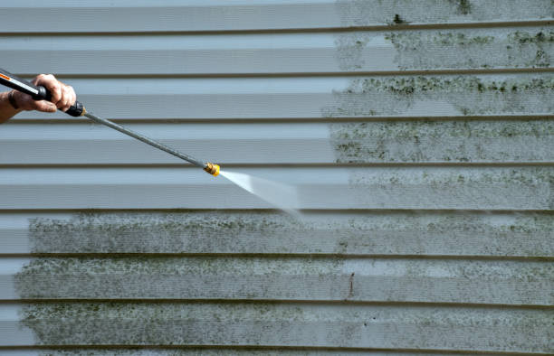 Best Gutter Cleaning  in Pawnee, IL